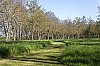 _MG_7791_DxO.jpg