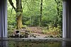 _MG_7803_DxO.jpg