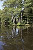 _MG_7813_DxO.jpg