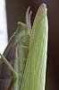 _MG_7880_DxO.jpg