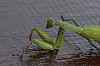 _MG_7883_DxO.jpg