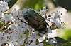 _MG_7899_DxO.jpg