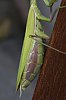 _MG_7903_DxO.jpg