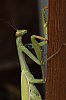 _MG_7914_DxO.jpg