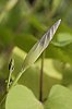 _MG_8089_DxO.jpg