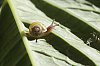 _MG_8112_DxO.jpg