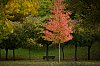 _MG_8860.jpg