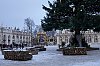 _MG_8892.jpg