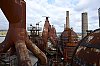 _MG_8957.jpg