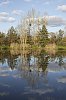 _MG_9013_1_DxO.jpg