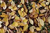 _MG_9015_1_DxO.jpg