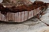 _MG_9017_1_DxO.jpg