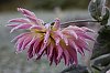 _MG_9019_1_DxO.jpg