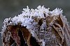 _MG_9026_1_DxO.jpg