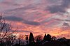 _MG_9038_1_DxO.jpg