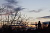 _MG_9056_1_DxO.jpg