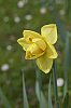 _MG_9070_DxO.jpg