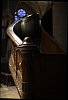 _MG_9103_DxO.jpg