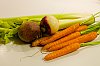 _MG_9164_28129.jpg