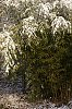 _MG_9180_DxO.jpg