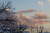 _MG_9197_DxO.jpg