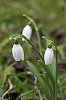 _MG_9204_DxO.jpg