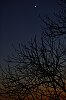 _MG_9220.jpg