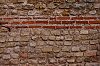 _MG_9224_28129.jpg