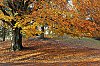 _MG_9278_DxO.jpg
