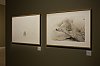 _MG_9284_DxO.jpg