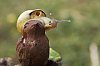 _MG_9312_DxO.jpg