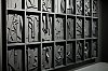 _MG_9432_DxO.jpg