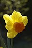_MG_9528_DxO.jpg