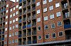 _MG_9532.jpg
