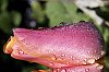 _MG_9542_DxO.jpg