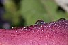 _MG_9543_DxO.jpg