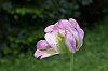 _MG_9544_DxO.jpg