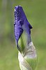 _MG_9546_DxO.jpg