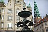 _MG_9554.jpg