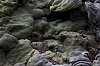 _MG_9556_DxO.jpg
