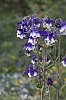 _MG_9564_DxO.jpg