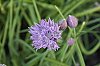 _MG_9566_DxO.jpg