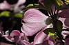 _MG_9583_DxO.jpg