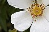 _MG_9604_DxO.jpg