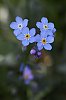 _MG_9614_DxO.jpg