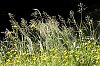 _MG_9630_DxO.jpg