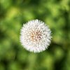 _MG_9643_DxO.jpg