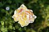 _MG_9646_DxO.jpg