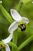_MG_9652_DxO.jpg