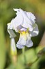 _MG_9657_DxO.jpg